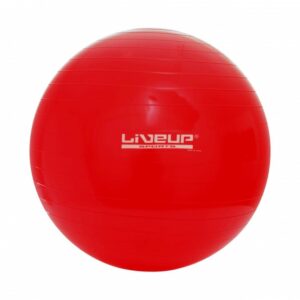 BOLA SUIÇA S - 45CM